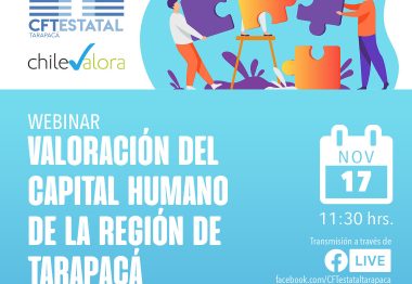 CFT Estatal de Tarapacá y ChileValora desarrollan seminario para impulsar su trabajo articulado